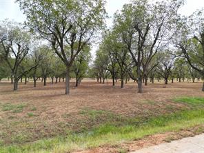 1313 Cirrus Loop - Photo 15