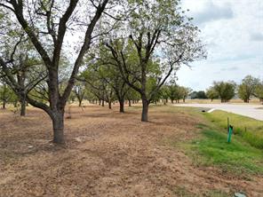1313 Cirrus Loop - Photo 16