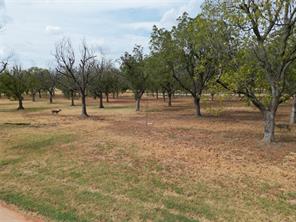 1313 Cirrus Loop - Photo 3