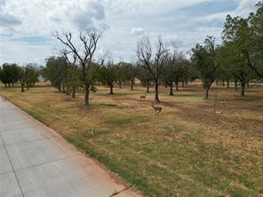 1313 Cirrus Loop - Photo 4