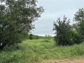 433 County Road 327 - Photo 11