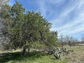 433 County Road 327 - Photo 2