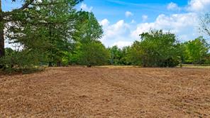1713 County Road 43500 - Photo 7