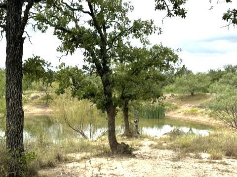 16271 FM 880 - Photo 10