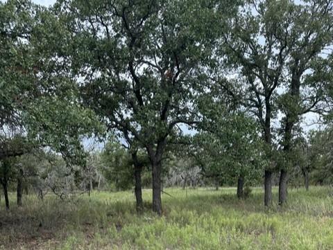16271 FM 880 - Photo 17