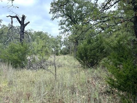 16271 FM 880 - Photo 18
