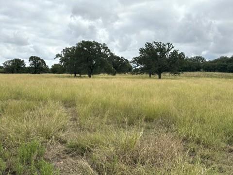 16271 FM 880 - Photo 19