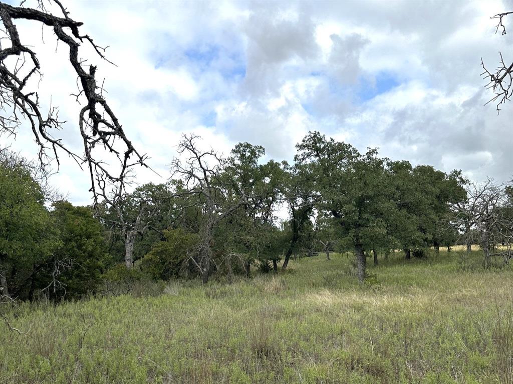 16271 FM 880 - Photo 26