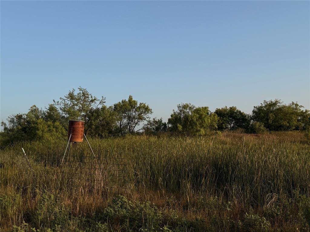 5725 Farm Market 604 - Photo 8