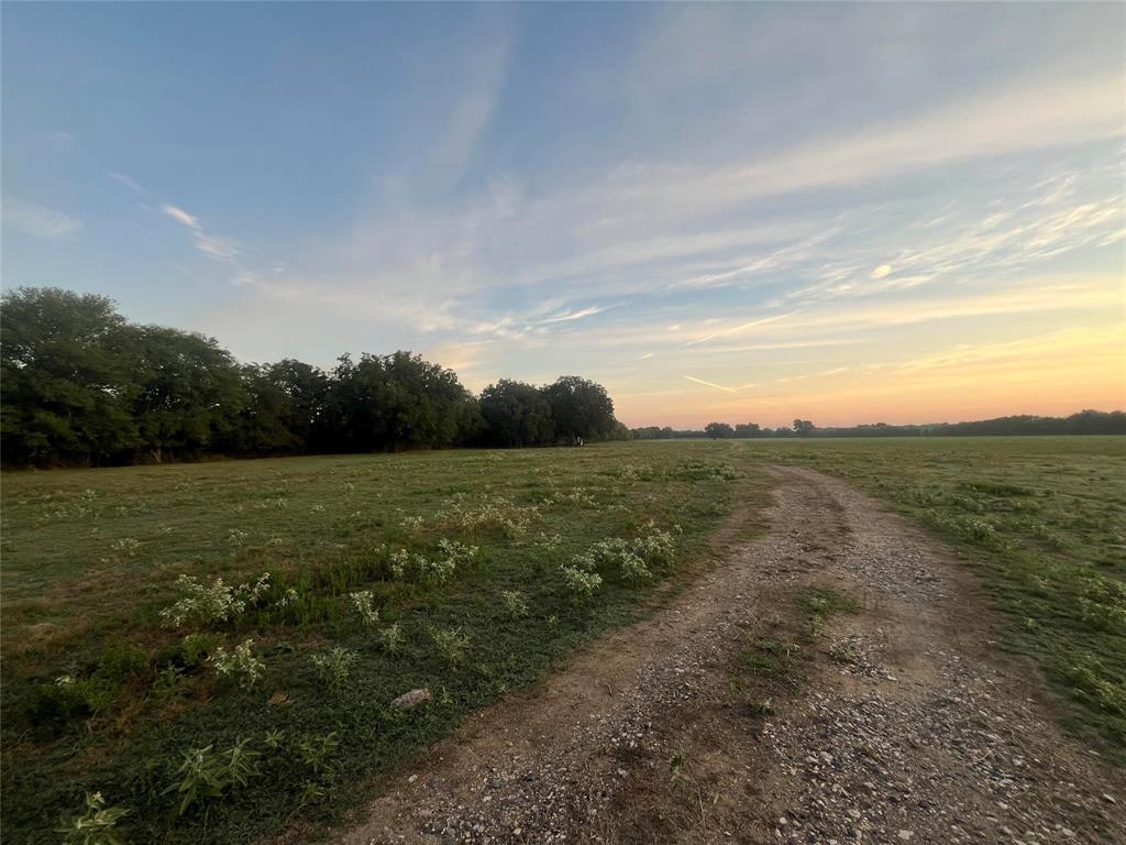 1003.31 ACRES LCR 456 & 460 - Photo 12