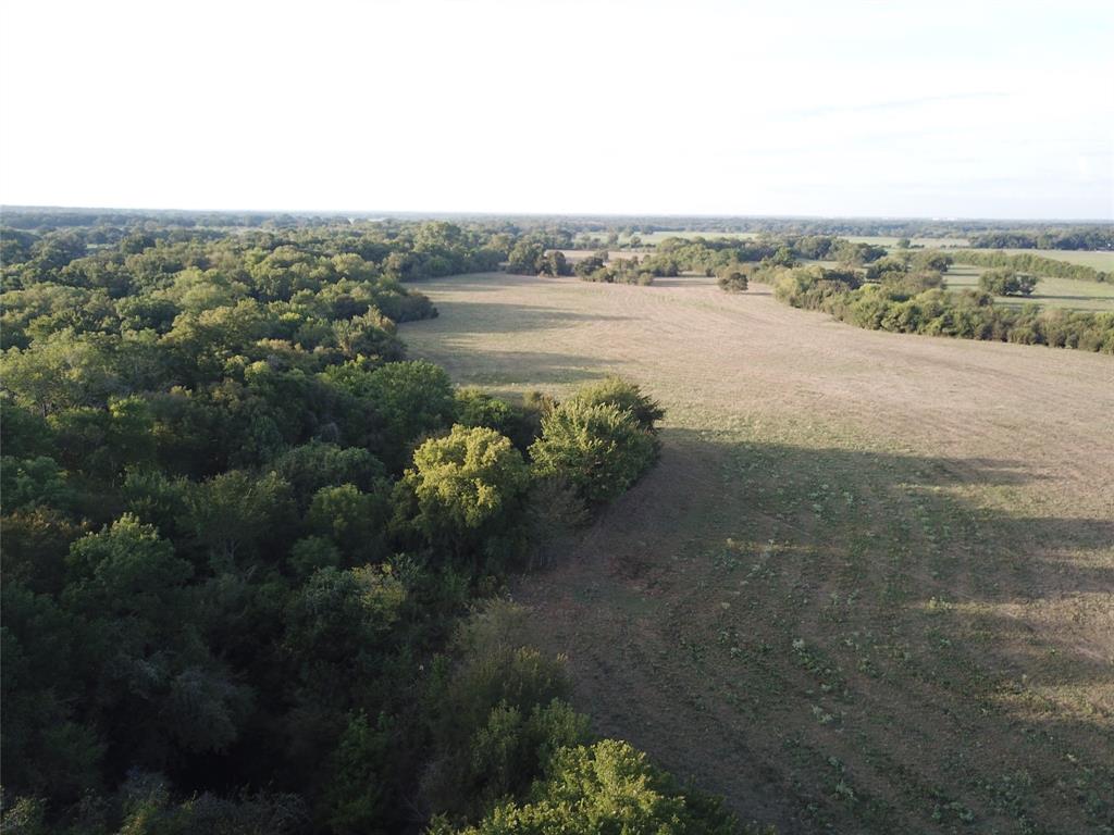 1003.31 ACRES LCR 456 & 460 - Photo 13