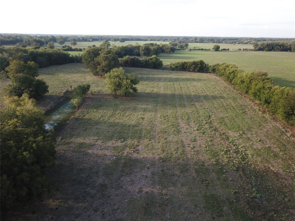 1003.31 ACRES LCR 456 & 460 - Photo 17