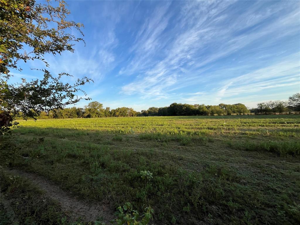 1003.31 ACRES LCR 456 & 460 - Photo 21