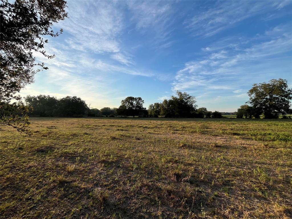 1003.31 ACRES LCR 456 & 460 - Photo 22