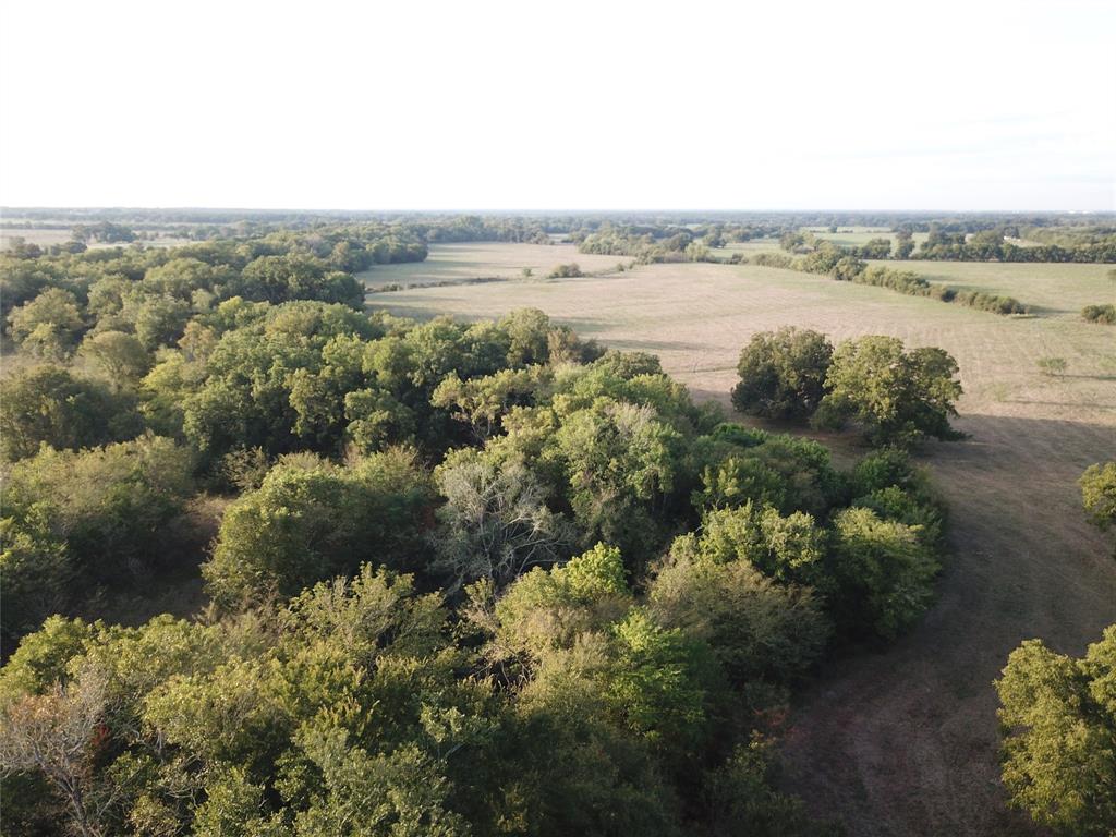 1003.31 ACRES LCR 456 & 460 - Photo 26