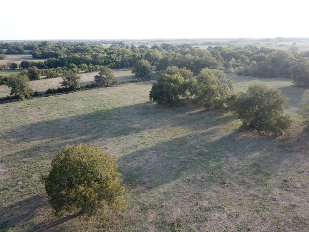 1003.31 ACRES LCR 456 & 460 - Photo 28