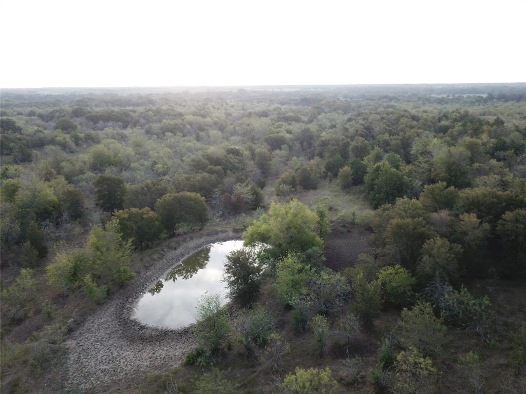 1003.31 ACRES LCR 456 & 460 - Photo 29
