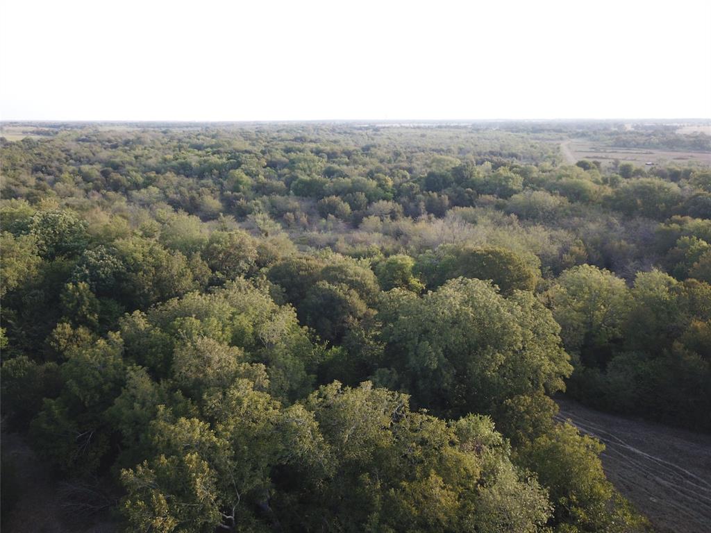 1003.31 ACRES LCR 456 & 460 - Photo 30