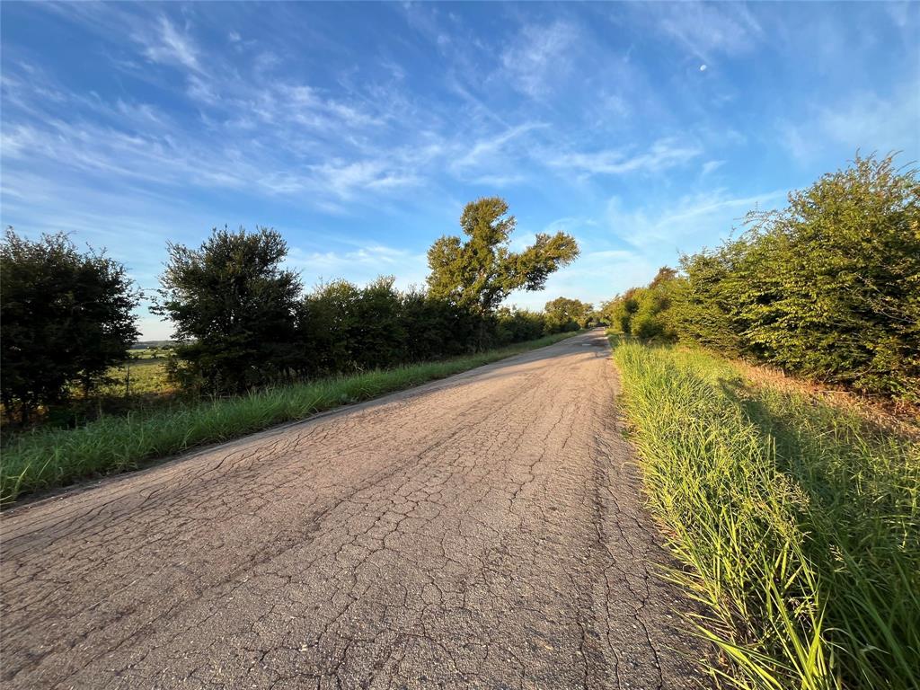 1003.31 ACRES LCR 456 & 460 - Photo 6