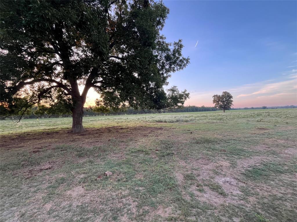 1003.31 ACRES LCR 456 & 460 - Photo 8
