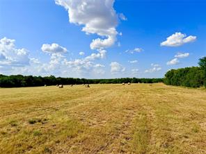 TBD CR 2145 - Photo 14