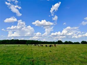 TBD CR 2145 - Photo 7