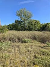 5297 W Highway 175 - Photo 17