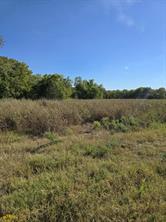 5297 W Highway 175 - Photo 6