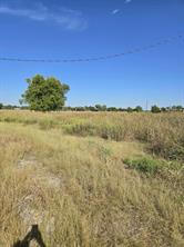 5297 W Highway 175 - Photo 7