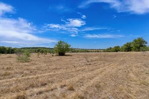 TBD Horne Hill Road - Photo 12