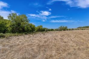 TBD Horne Hill Road - Photo 13