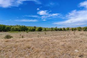 TBD Horne Hill Road - Photo 14