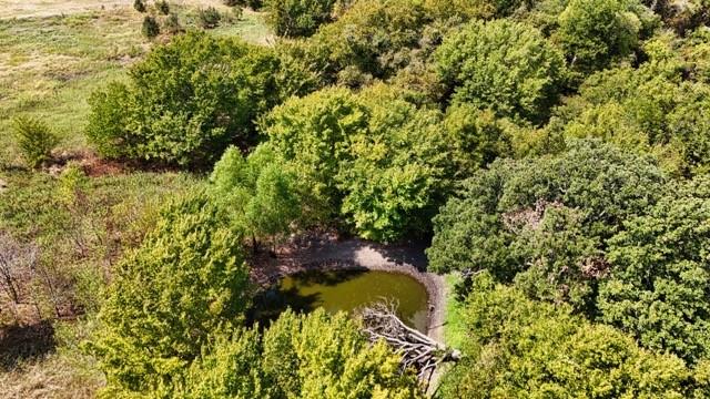 10261 County Road 606 - Photo 14
