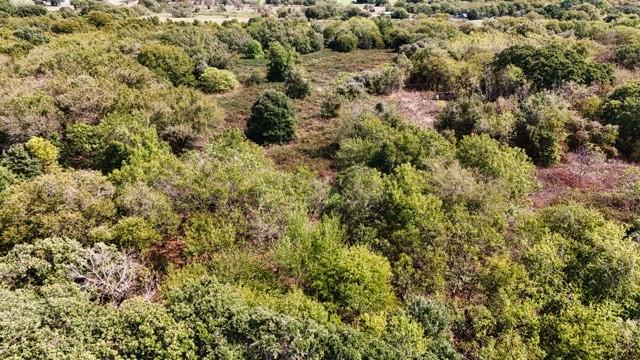 10261 County Road 606 - Photo 15
