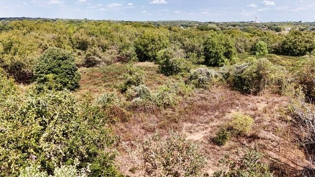 10261 County Road 606 - Photo 17