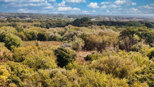 10261 County Road 606 - Photo 20