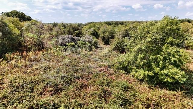 10261 County Road 606 - Photo 6