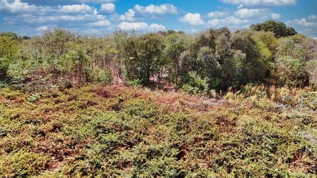10261 County Road 606 - Photo 7