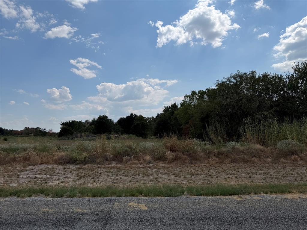 Lot 4 Co Rd 1110 - Photo 1