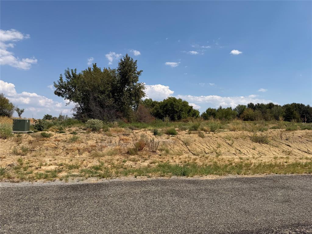 Lot 6 Co Rd 1110 - Photo 1