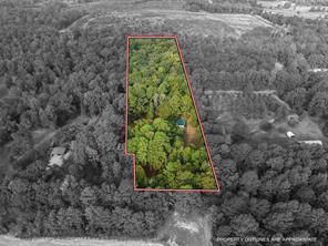1875 County Road 1577 - Photo 3