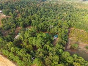 1875 County Road 1577 - Photo 5