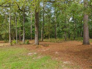 1875 County Road 1577 - Photo 9