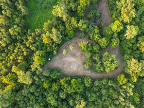 TBD Farm Road 906 - Photo 13