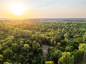 TBD Farm Road 906 - Photo 14