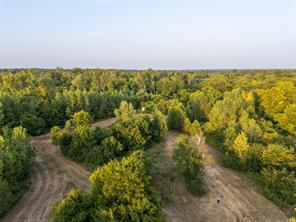 TBD Farm Road 906 - Photo 28
