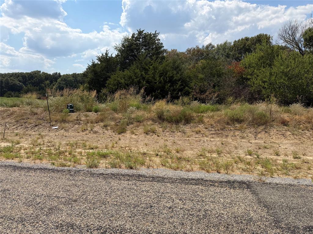Lot 9 Co Rd 1110 - Photo 4