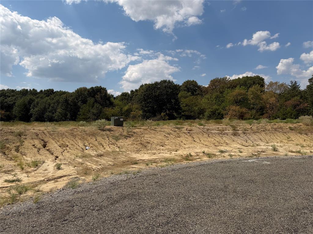 Lot 9 Co Rd 1110 - Photo 5