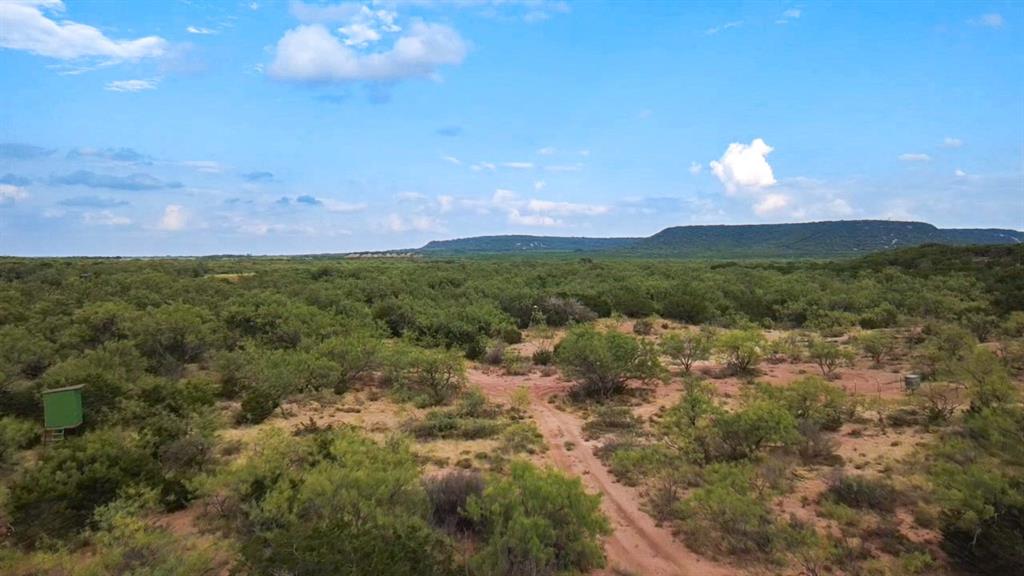 TBD County Road 175 - Photo 14