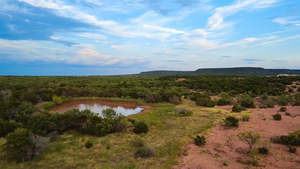 TBD County Road 175 - Photo 5